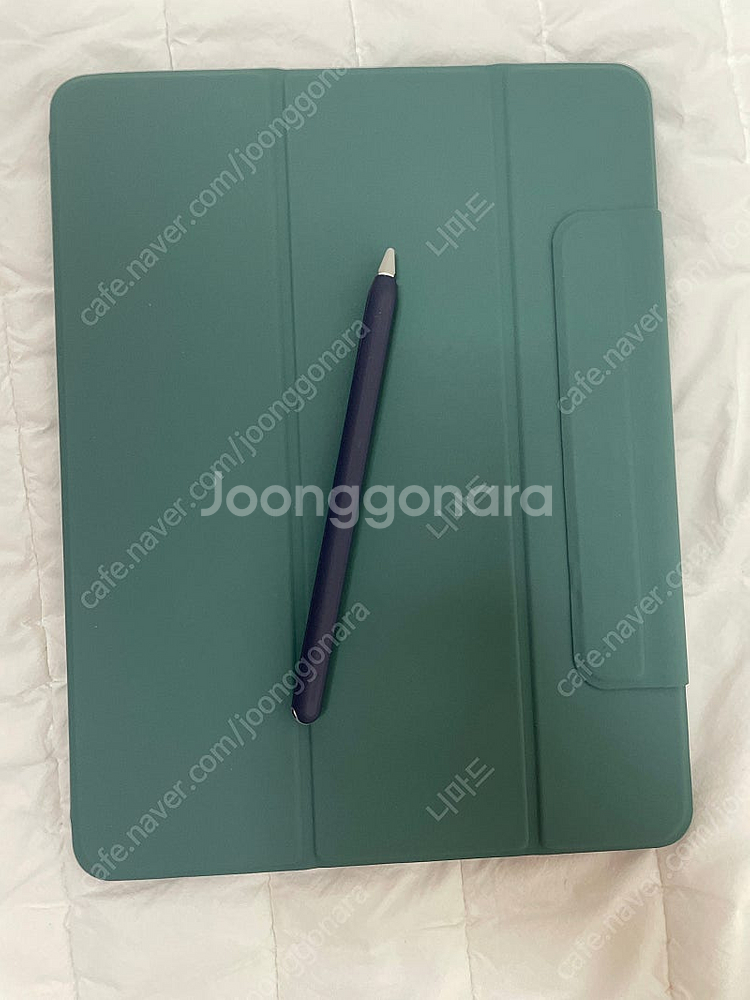 아이패드 프로 12.9형(4세대) 256Gb Wi-Fi...--3