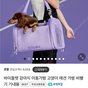 강아지 고양이 반려동물 이동장 이동가방 기내용가방 새상품