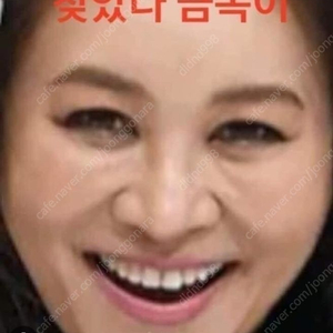 워스트 소장용