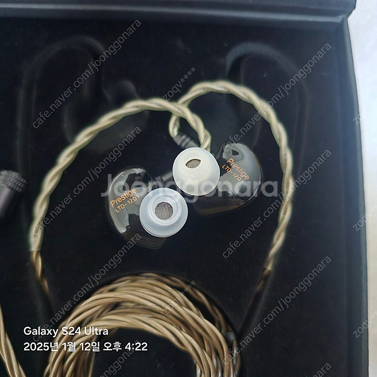 타이오디오 프레스티지 LTD--1