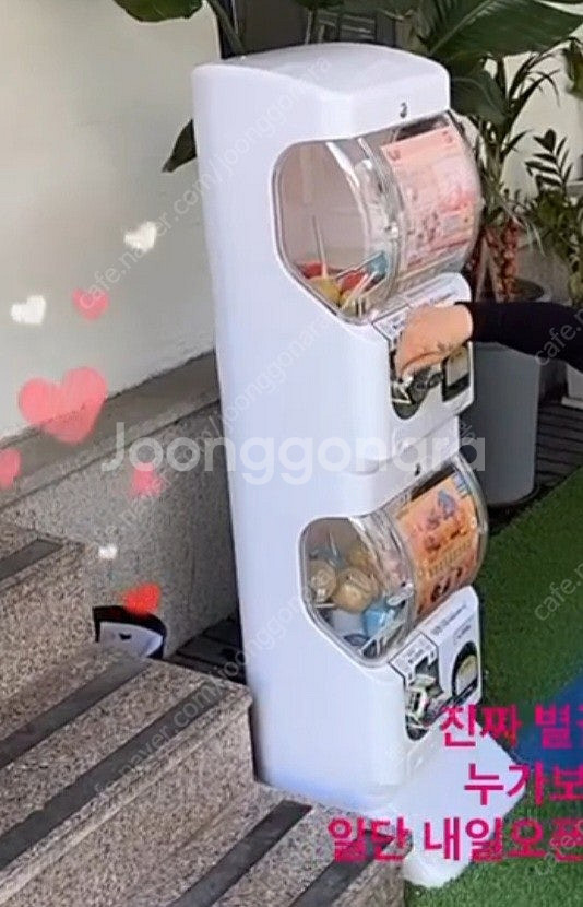 가챠기계--1