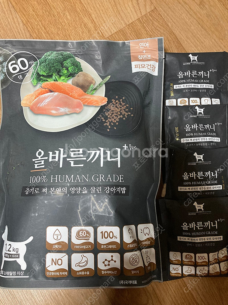 올바른끼니 사료 연어 칠면조 1.2kg--0