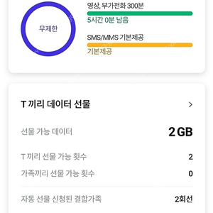 skt데이터 2기가