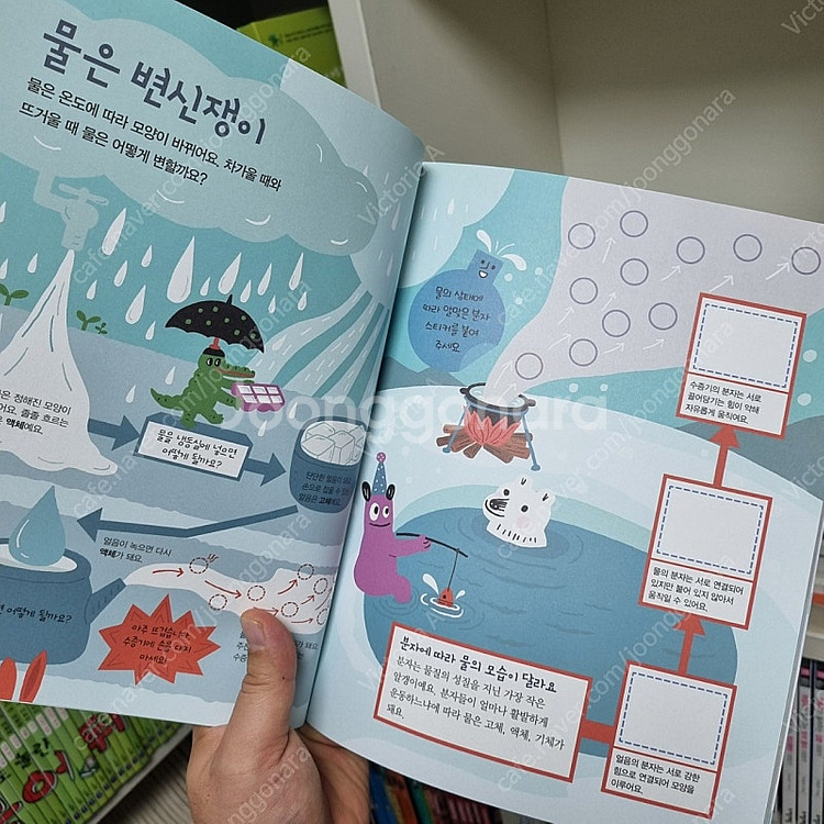 웅진북클럽 원리가 보이는 과학 최신개정판 세트--2