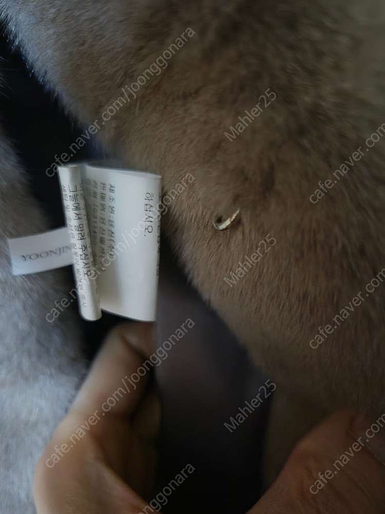 고급 윤진모피 하프 실버블루. 코펜하겐퍼. 후드시탈--3