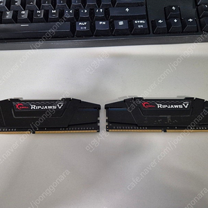 DDR4 지스킬 립조스 pc3200 cl14 8g*2개