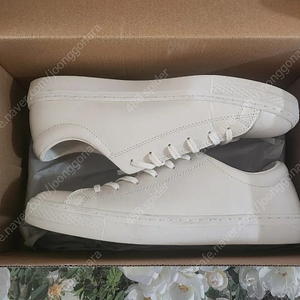 (일본 컨버스)LEATHER ALL STAR COUPE OX