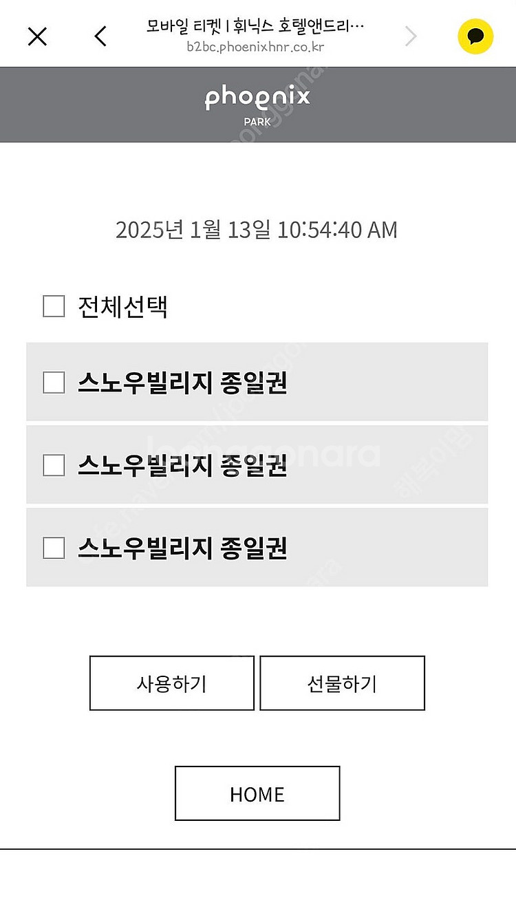 휘닉스파크 스노우빌리지 3매--0
