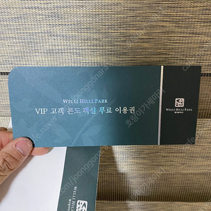 vip 콘도 이용권 웰리힐리 스위트B