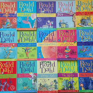 로얄드달 Roald dahl 15권세트