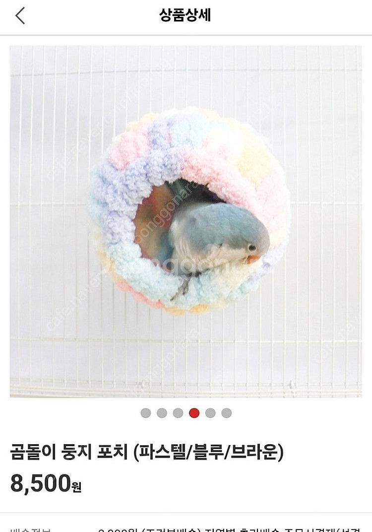 앵무새 용품 장난감 램프--1