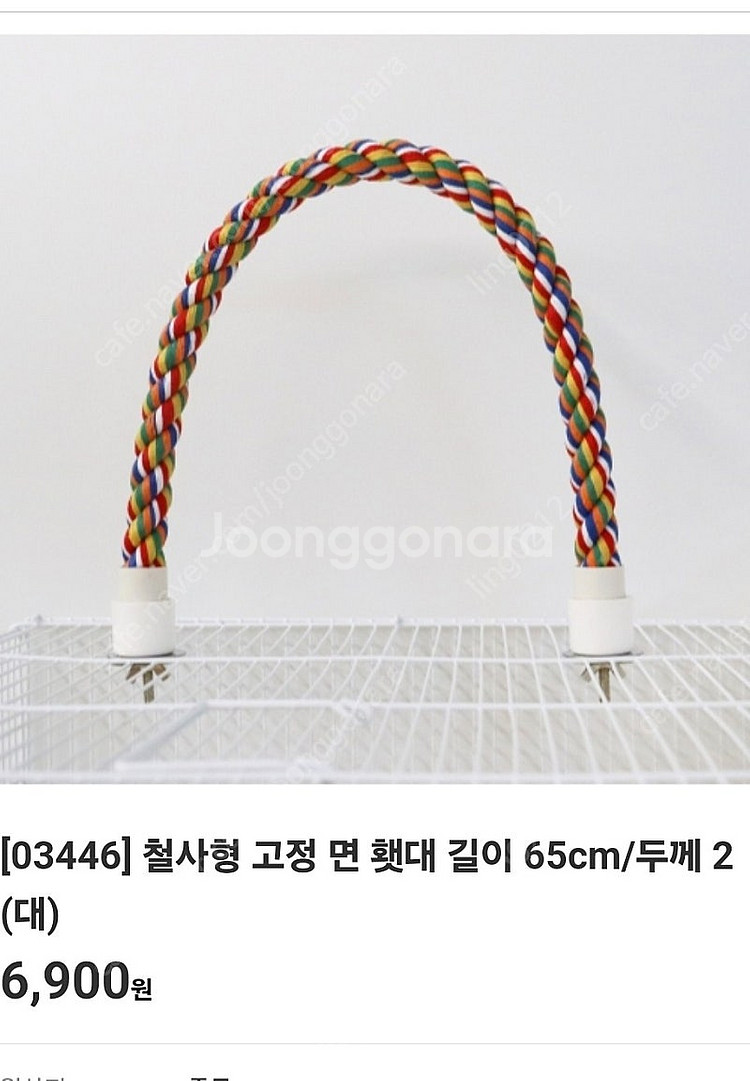 앵무새 용품 장난감 램프--4