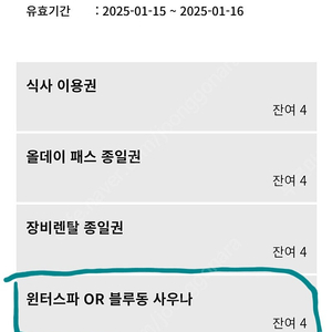 휘닉스 파크 블루 캐니언(1월 15,16)4장