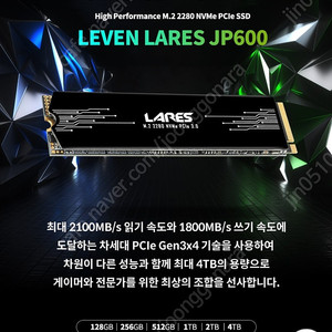 LEVEN jp600 1테라 nvme ssd