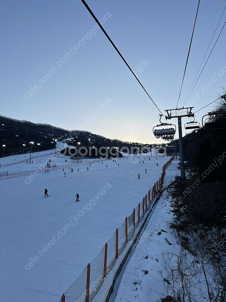 곤지암 스키장 시즌권 전일 ( 양도비 별도 )--0