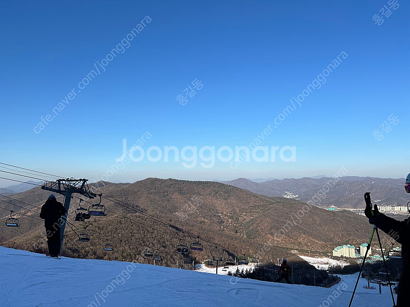 곤지암 시즌 전일권 양도비 별도--0