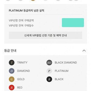 신세계 골드 등급 발렛 주차권