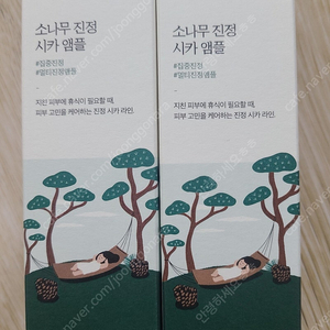 라운드랩 소나무앰플 50ml 판매!!