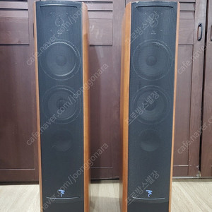 [가격인하] JMLab(Focal)의 Cobalt 816S 톨보이 스피커