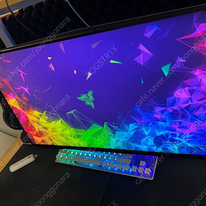 델 AlienWare AW2518HF 240HZ TN패널 게이밍모니터