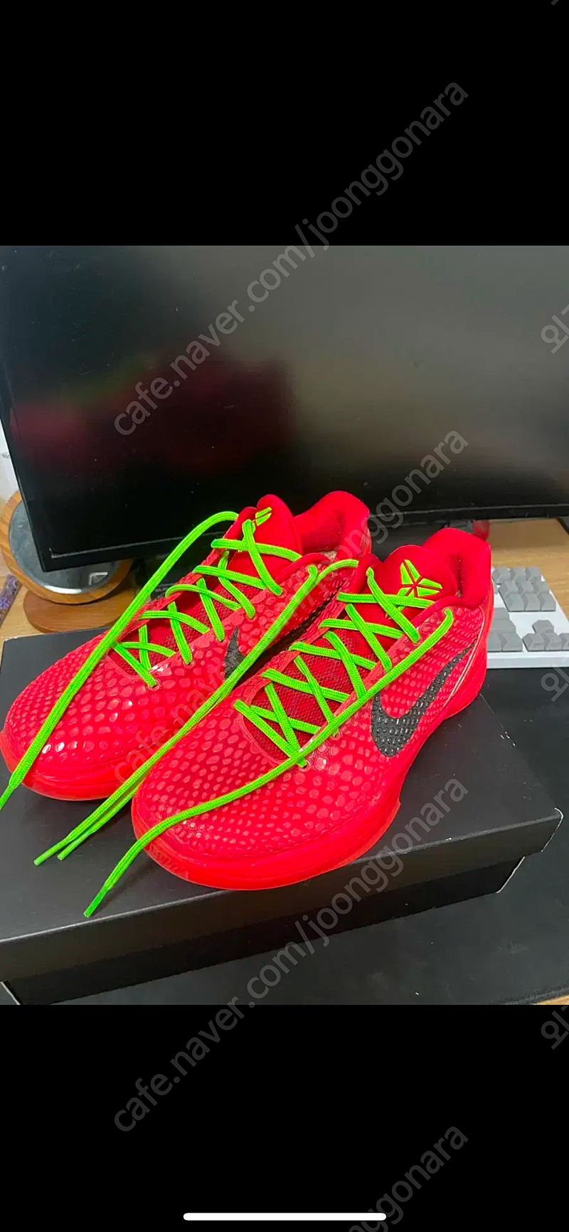 270 코비6 리버스 그린치