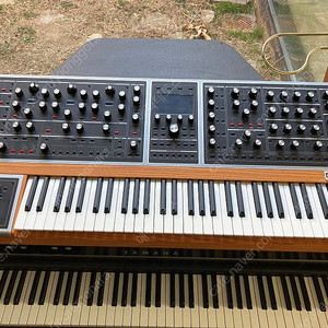 Moog one 8 voice