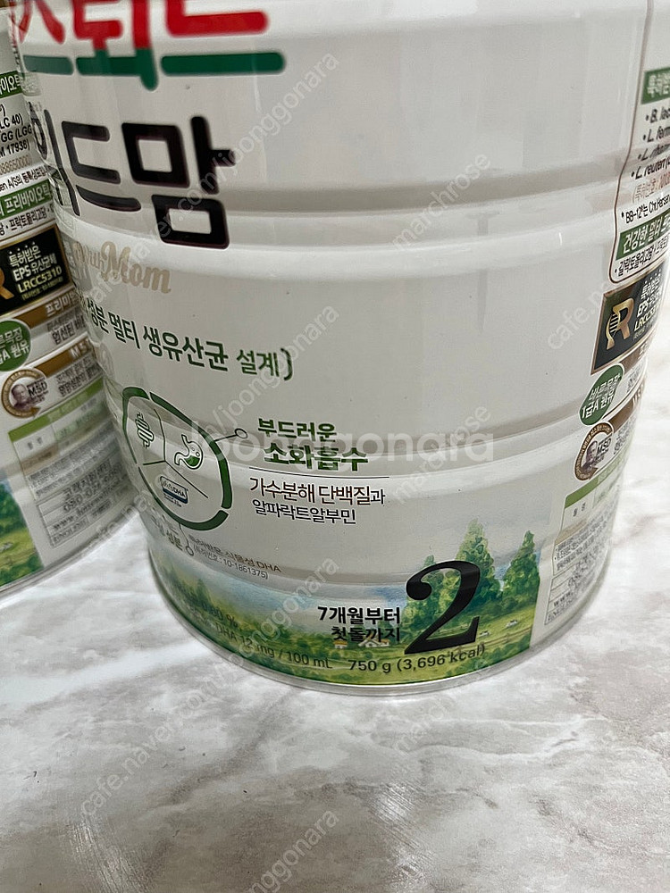 파스퇴르 위드맘 바른목장 초록 2단계 2통 일괄--2