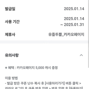 카카오페이지 5000캐시 + 카카오웹툰 5000캐시 일괄 3천원