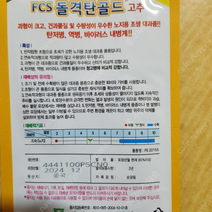 사카다 돌격탄골드 종자씨 팝니다