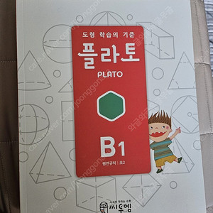 플라토B