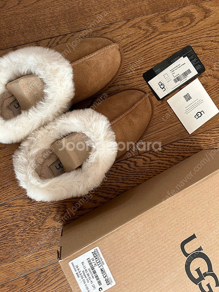 어그 모레네 6--0