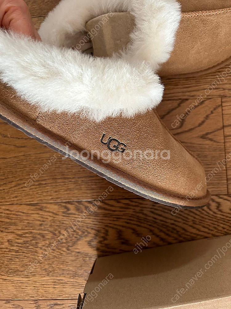 어그 모레네 6--2