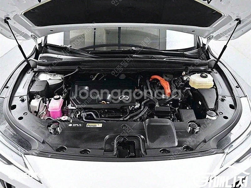 [렉서스]RX 350h(5세대) 럭셔리 (5인승) ★상...--6