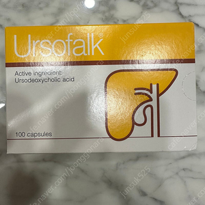 우르사 ursofalk 250mg