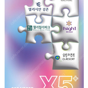 X5 시즌권 정맥 미등록 (양도비 별도)