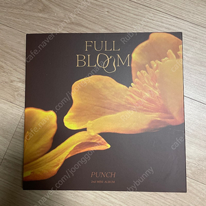 가수 펀치 미니앨범 2집(FULL BLOOM)