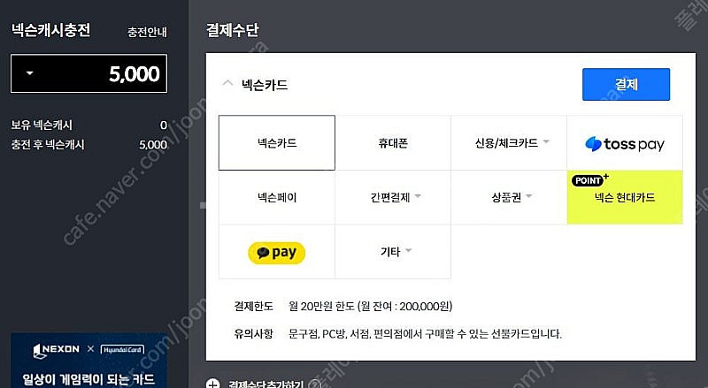 넥슨캐시 5000--0