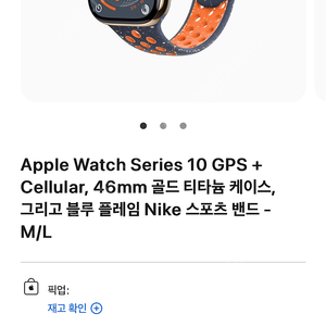 애플워치10 골드티타늄46mm 셀룰러