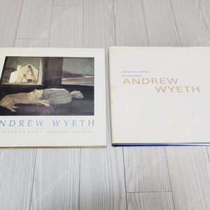 곰브리치 서양미술사 / ANDREW WYETH 앤드루 와이어스 / 주말엔 서울여행, 지하철로 떠나는 서울&근교여행 / 공부상처 / 아이의 사생활, 외동아들, 외동딸