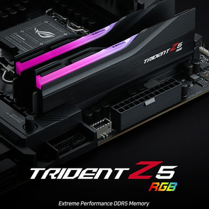 [삽니다] G.SKILL DDR5-6400 CL32 TRIDENT Z5 RGB J 패키지 (64GB(32Gx2)) 삽니다