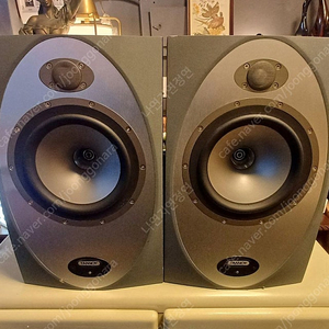 TANNOY PRECISION 8D 액티브 모니터 스피커