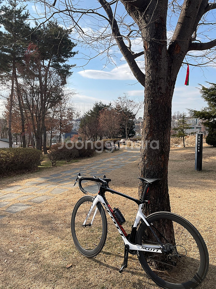 스캇 포일 30 로드자전거(풀카본)--0