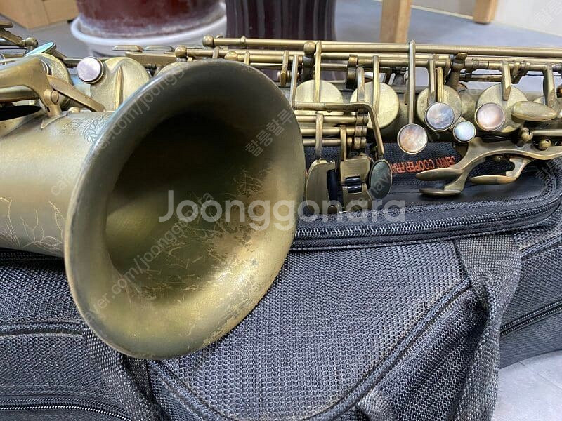 알토 색소폰 입문용으로 좋아요--4