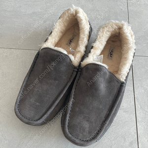 어그 UGG uk8 eu 42 270 로퍼 모카신