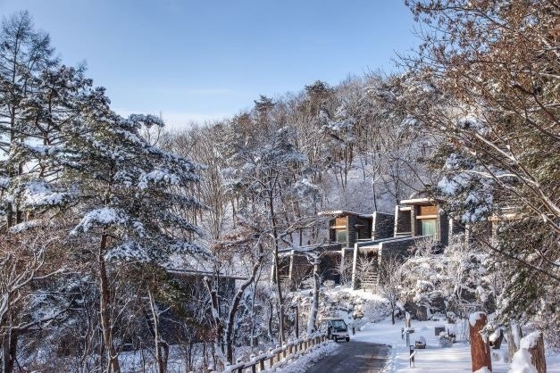 1월25일26일27일28일29일30일 설연휴 특가! 모...--0