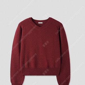 파크투 Minoi v-neck knit