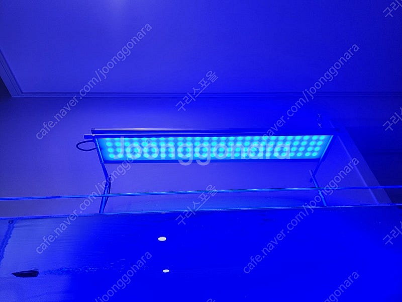 (어항 조명) 메탈라이트 리얼 900 ver.1 + 블...--7