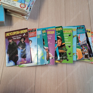 잠수네 영어책, 챕터북, j3, j4, j5 (마빈레드포스트, 잭파일, 플랫 스탠리, Encyclopedia Brown, 매직스쿨버스)