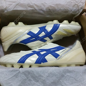 아식스 ASICS 티그리어 IT - 290