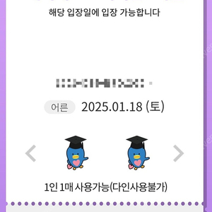 롯데월드 매직패스 5회권